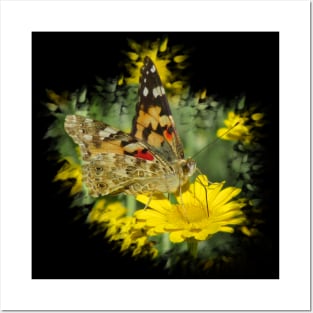 wonderful butterfly on a yellow flower Posters and Art